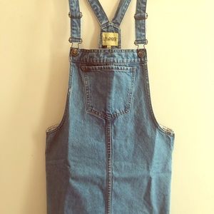 Lily and Parker Skirt overalls
